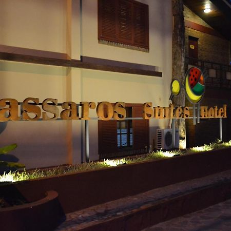 Passaros Suite Hotel Puerto Iguazú Exteriör bild